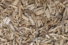 biomass boilers Gulladuff